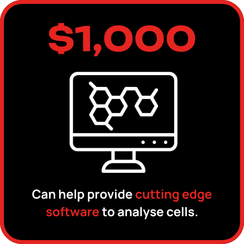 Can help provide cutting edge software