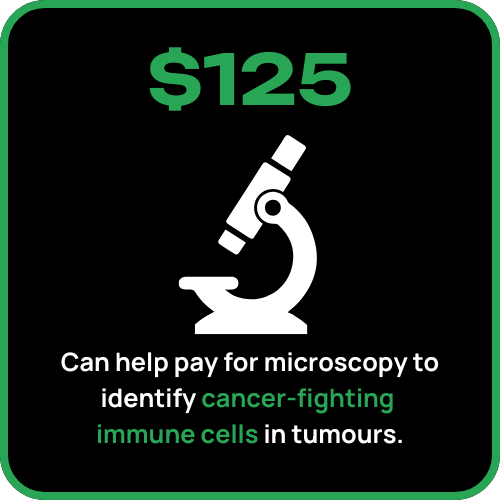 Can help pay for microscopy
