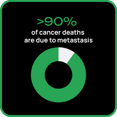 >90% of cancer deaths are due to metastasis >90% of cancer deaths are due to metastasis