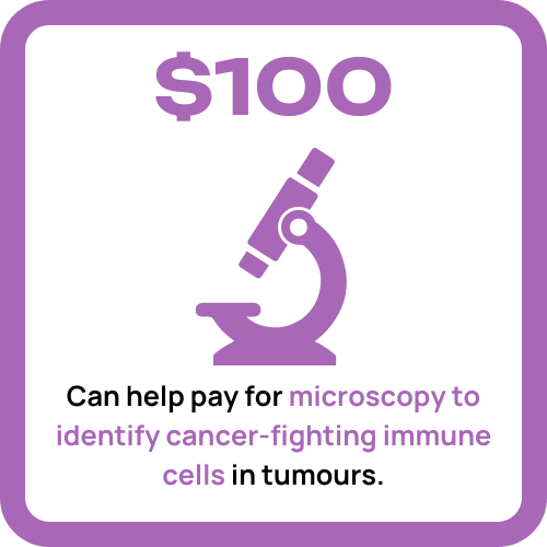 $100 Can help pay for microscopy to identify cancer-fighting immune cells in tumours