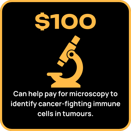 $100 Can help pay for microscopy to identify cancer-fighting immune cells in tumours.